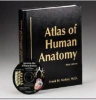 view and print over 900 anatomical from frank netter's atlas of human anatomy cd rom. print in black